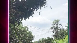 ???? : helikopterrr... helikopterrr????