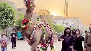 Mashallah khusurat tareen♧♧