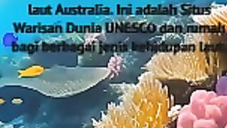 Great Barrier Reef, AustraliaT