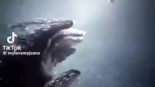 TikTok viral video TikTok video 2