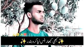 Amazing funny video ???????????????????? 2