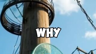 Why Are These Glass Discs Installed on Electric Poles ????????????