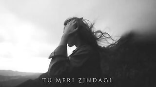Tu_Meri_Zindagi_Hai_Mashup___Vishal_Mishra_Songs___Hindi_Songs_Mashup