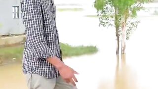 TikTok funny video 7