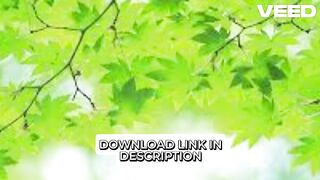 {New@@ 18+} video de masha video de masha filtrado video de masha viral original