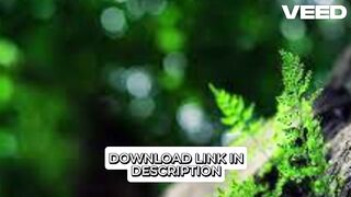 New Leaked 18++ Video} payal gaming mms payal dhare payal gaming viral video x