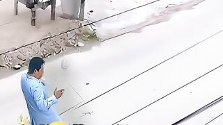 #funnyanimals 3