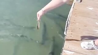 #FunVideo 77