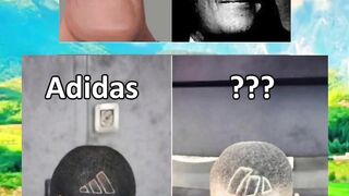 memes on the internet