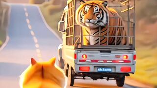 The Orange Cat & Panda Team Up to Save the Tiger!