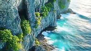 Deep ⛵ sea video