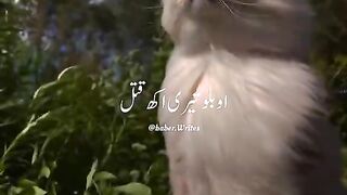 Nice song lyrics 8