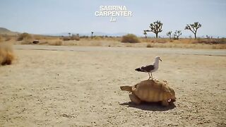 Sabrina Carpenter  Manchild (Official Video)