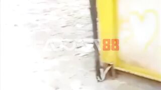 Gratis tapi ada tapi nya wkwkw