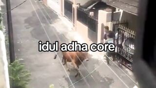 idul adha | adobet88 | Adobet88