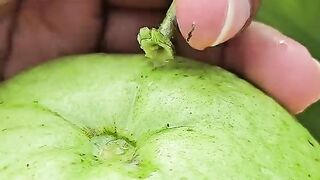Guava Spicy Juice