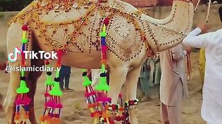 Islamic video 227