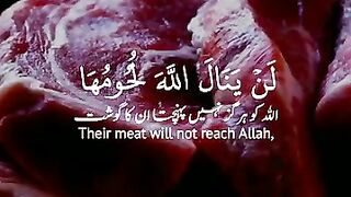 VID-20250606-WA0018