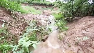 Rain Fishing