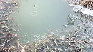 Easy fishing