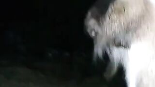 Funny video???? 13