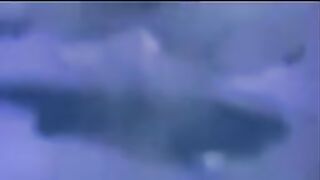 Təkamül/Evolution(2001) filmi - Kəpəz TV dublyajı