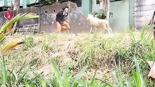 Funny video