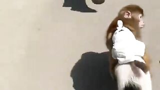 Funny video