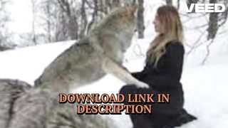 [XX$XXSEX18+ VIDEOS] 2 wolf 1 girl viral video download telegram