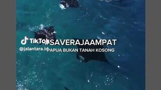 Mau tambah uang jajan join di sini https://enak.blog/koin 50
