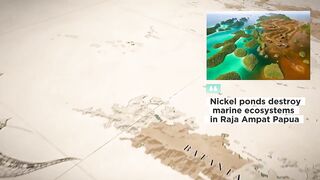 Nickel ponds destroy marine ecosystems in Raja Ampat Papua