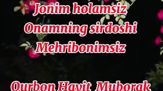 Holajonim