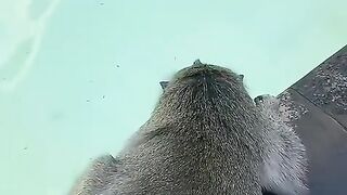 #FunVideo 81