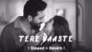Tere Vaaste I Slowed & Reverb I Heart Touching Romantic Lofi Sad Song I Atif Aslam Lofi Songs