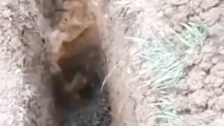 Eating ???????????????? 2