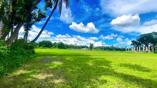 গ্রামের দৃশ্য