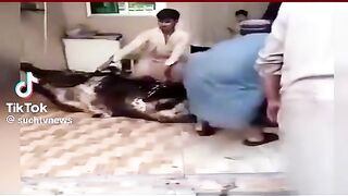 La parwahi ka nateja