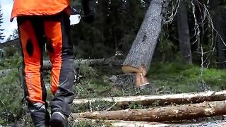 Video 575