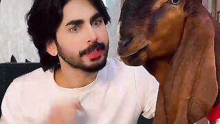 Funny videos 662