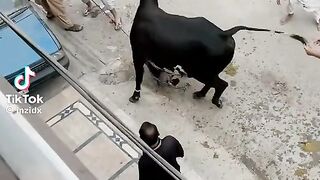 Kata khul gya