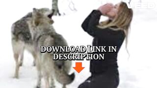 Full Video 2 wolf one girl movie 2 wolf 1 girl movie viral