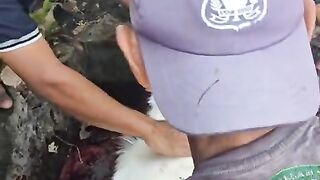 The process of slaughtering sacrificial animals