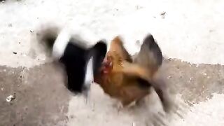 #funnyreels 6
