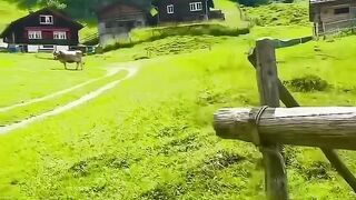 Beautiful place 57
