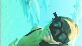 Dolphin 2