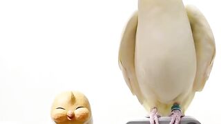 Fun Facts About Animal
