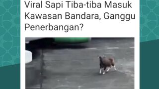 Misi om, Udah boarding, tinggal naik pesawat nih