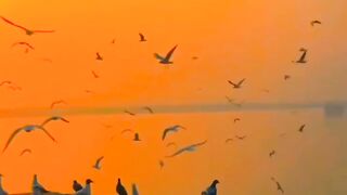 Sambhala hai mene ????????????????