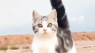 Bhhhhhhhj