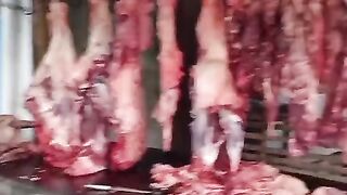 Fresh meat friendly prices